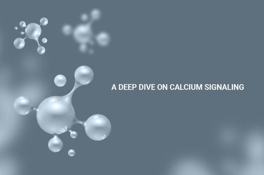 A Deep Dive on Calcium Signaling