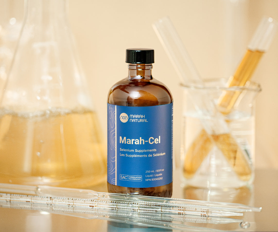Marah-Cel