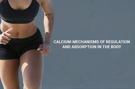 Calcium-mechanisms of Regulation and Absorption in the Body