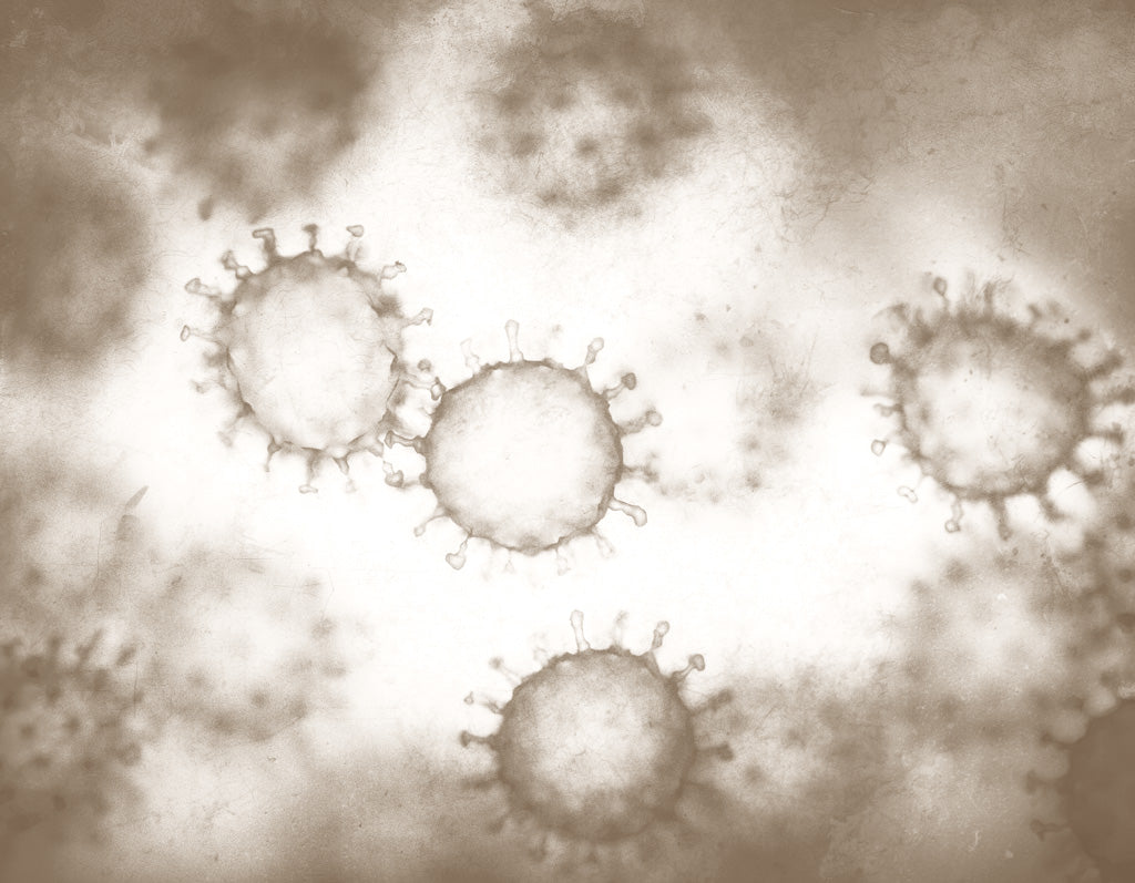 UNVEIL THE INTRICACIES OF RESPIRATORY SYNCYTIAL VIRUSES: