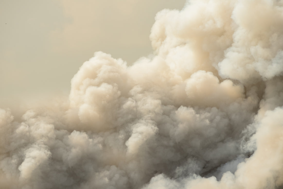 Breathing in Wildfire Smoke: A Closer Look at Health Risks and Protection