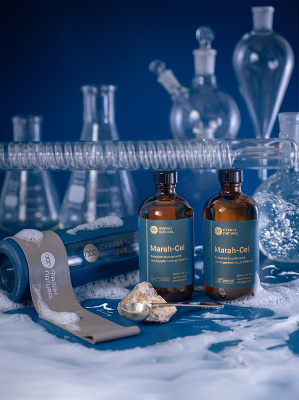 T-score Reference Range -2.5 to -4