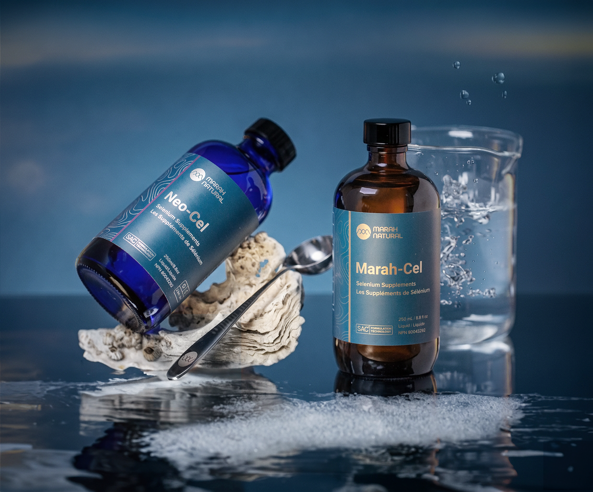 T-score Reference Range -1 to -2.5