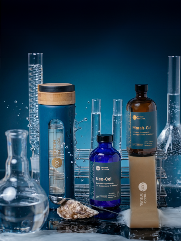 T-score Reference Range -1 to -2.5